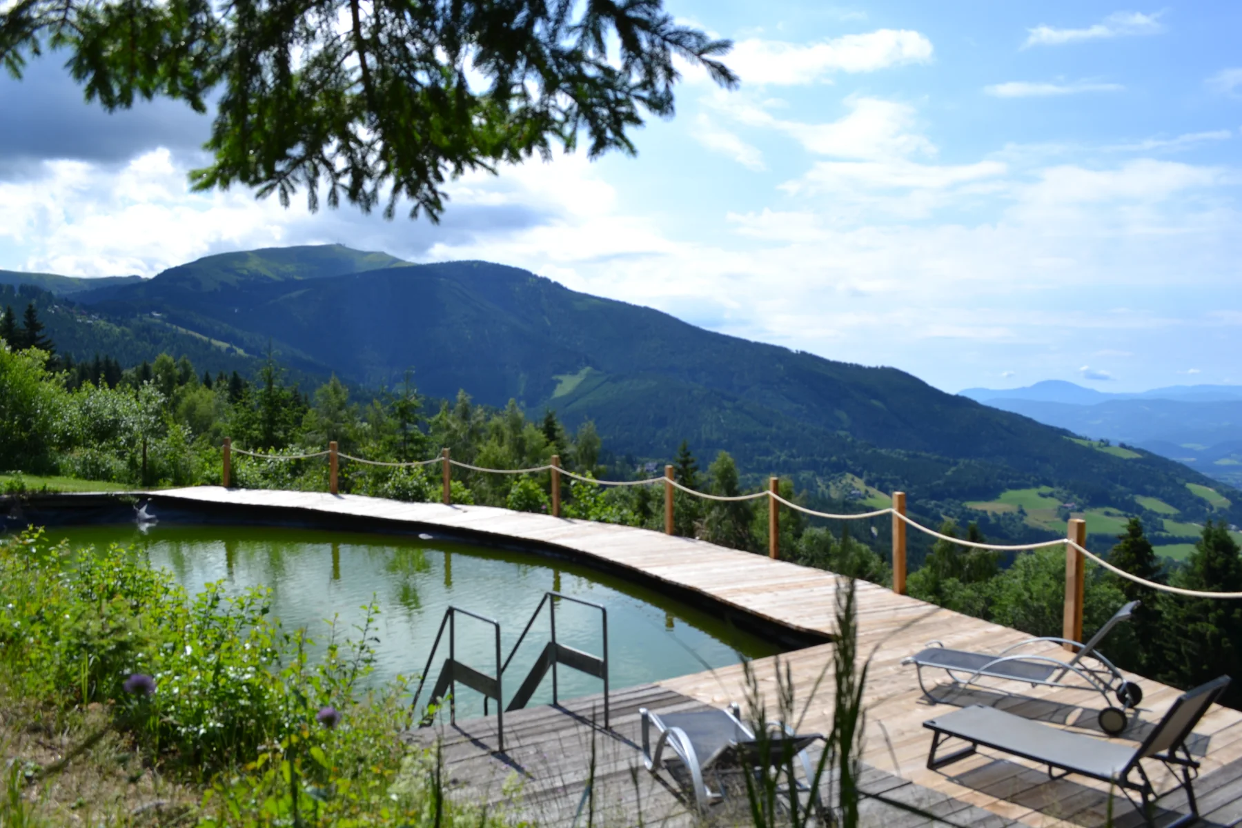 Schwimmteich mit Blick auf die Kärntner Berglandschaft